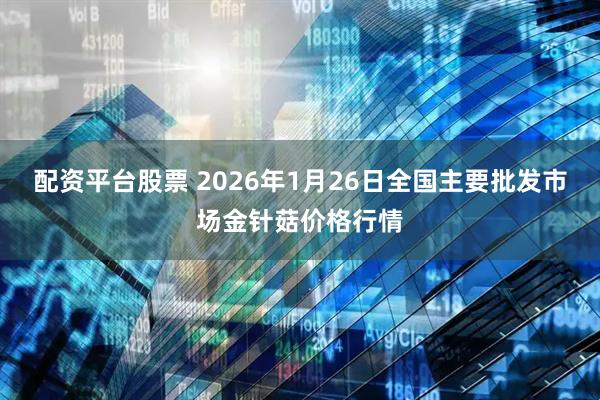 配资平台股票 2026年1月26日全国主要批发市场金针菇价格行情