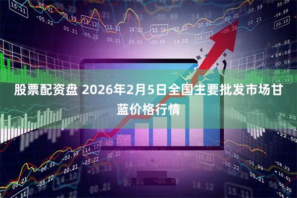 股票配资盘 2026年2月5日全国主要批发市场甘蓝价格行情